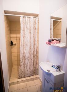 哈尔基斯Explore Greece from Lovely City Centre Apartment的浴室配有淋浴帘和盥洗盆。