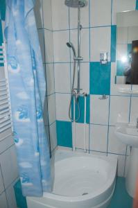 Corbii MariHotel Popasul Iancului的带淋浴、卫生间和盥洗盆的浴室