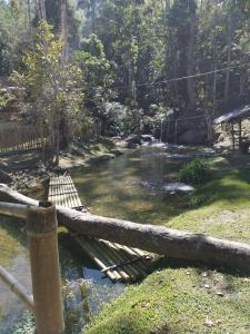 Ringlet雨林酒店的森林中一条小溪上的木桥