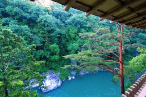 饭田市克油森日式旅馆的森林中央的湖泊美景