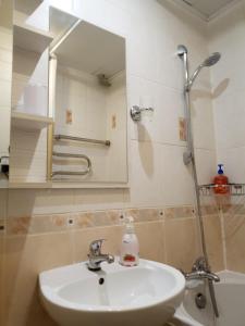 科布林Apartment on 700-letiya Kobrina 4的一间带水槽和镜子的浴室