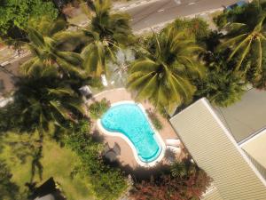 蓝海湾创尔特房檐宾馆的享有棕榈树游泳池的顶部景致