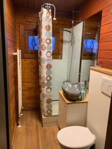 萨洛尔诺Chalet San Valentino的带淋浴、卫生间和盥洗盆的浴室