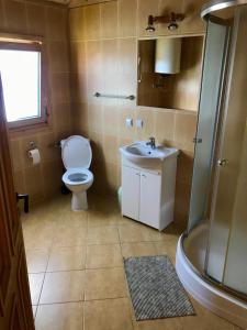 格里兹鲍Domki Green Grzybowo的浴室配有卫生间、盥洗盆和淋浴。