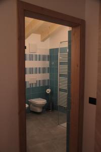 科姆梅扎杜拉MOUNTAIN RESORT Appartamenti的一间带卫生间和玻璃门的浴室