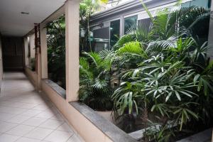 帕尔马斯拉戈大帕尔马酒店的一条有大量植物的建筑走廊