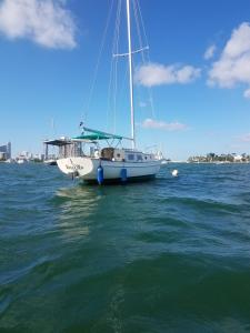 迈阿密Sailboat with view的坐在海洋水中的船