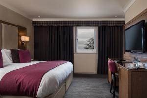 拉克霍尔索兰德斯公园酒店的一间设有大床和窗户的酒店客房