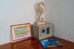 巴克里索莫雷诺港Mare Mio的书和微波炉上的蛇