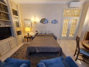 威尼斯Venice Ca' Rosy的一间卧室配有一张床、一张沙发和一台电视。