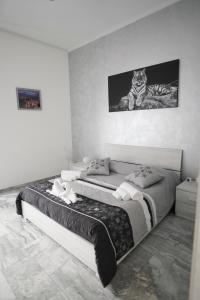 卡塔尼亚Central Luxury Apartment的一间卧室,卧室里配有一张床,猫坐在床上