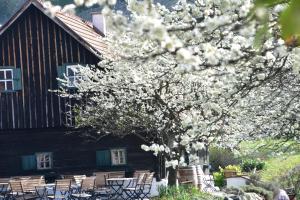 绍萨尔地区基策克Gästehaus-Temmel-Kitzeck的建筑物前有白色花的树