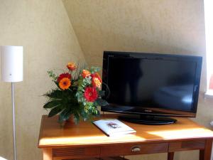 阿尔特廷阿尔施塔特舍科斯酒店的桌子上放着花瓶的电视机