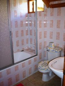 埃尔布兰科Lodge de Montaña Lago Monreal的带淋浴、卫生间和盥洗盆的浴室