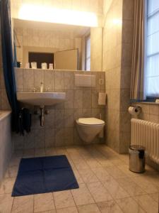 Turbenthal盖伦巴德宾馆的一间带水槽、卫生间和镜子的浴室
