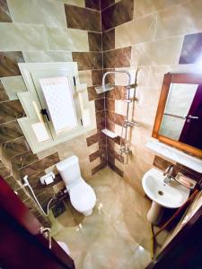 达哈布TheCastle Hotel的一间带水槽、卫生间和镜子的浴室