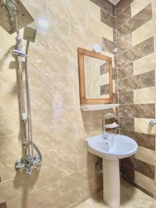 达哈布TheCastle Hotel的一间带水槽和镜子的浴室