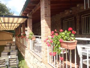 阿塞沃casa rural buenos aires的一座种植了鲜花和植物的庭院