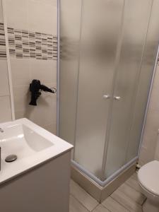 桑斯Zen attitude Appt 127的带淋浴的浴室(带盥洗盆和卫生间)