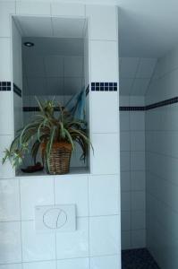 伯尔格伦德-雷特维施“斯特兰德-加特公寓”的架子上一篮子里植物的浴室