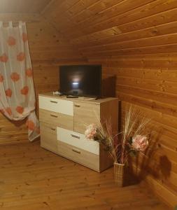 BīriņiHoliday Home Dālderi的客厅配有电视和带电视器的梳妆台。