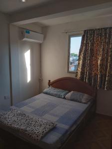波萨达斯Habitaciones Villa Blosset的一间卧室设有一张大床和窗户