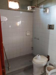 波萨达斯Habitaciones Villa Blosset的白色的浴室设有卫生间和淋浴。