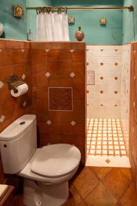 安特克拉ALOJAMIENTO MAZARI的一间带卫生间和淋浴的浴室