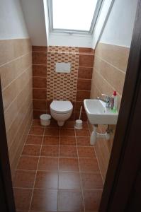 波切尼斯Ubytovanie Luky的一间带卫生间、水槽和窗户的浴室
