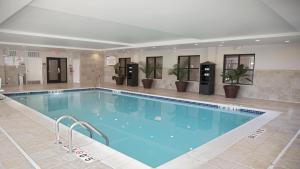 奥本希尔斯Staybridge Suites Auburn Hills, an IHG Hotel的酒店的大型游泳池