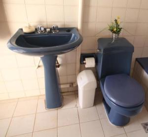 苏克雷Casa Los Jazmines的浴室设有蓝色的卫生间和水槽。