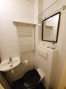 斯哈亨Tuinhuis的一间带水槽、卫生间和镜子的浴室