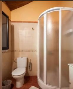 拉奥罗塔瓦Finca La Casita的一间带卫生间和淋浴的浴室