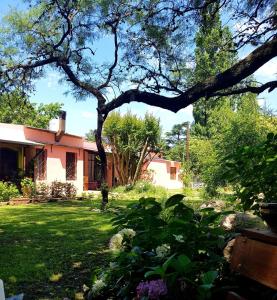 圣哈维尔Posada El Cortijo的院子里有树的房子