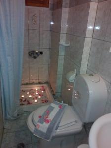 扎戈拉罗西斯旅馆的带淋浴、卫生间和盥洗盆的浴室