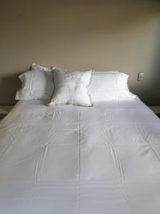 汉密尔顿Tron Central的白色的床、白色床单和枕头