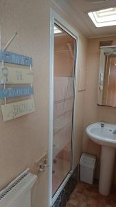英戈尔德梅尔斯8 Berth on The Chase (Dakota)的一间带水槽、淋浴和卫生间的浴室
