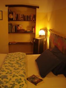基安蒂格雷夫Il Cielo Bio - Il più piccolo B&B del Chianti的一间卧室配有一张带书架的床