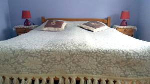 科瓦雷Domek u Domny的一间卧室配有一张大床和两盏灯