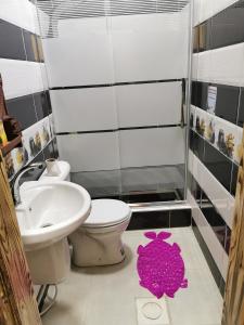 瓦迪穆萨Petra 555的一间带卫生间和水槽的浴室