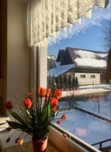 波罗宁U Wiesi的美景窗户上的花瓶