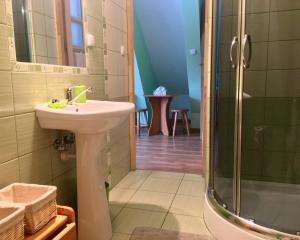 波罗宁U Wiesi的一间带水槽和淋浴的浴室