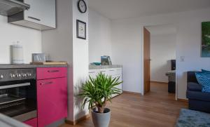 穆赫克雷斯的艾根Haus am Marktplatz的粉红色橱柜和盆栽的厨房