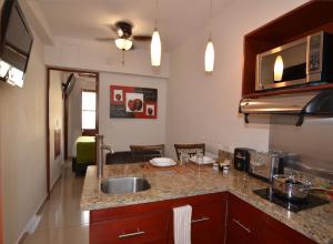 普埃布拉康科迪亚套房酒店的厨房配有水槽和台面