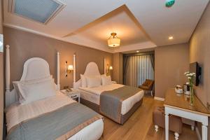伊斯坦布尔汉娜酒店的酒店客房设有两张床和电视。
