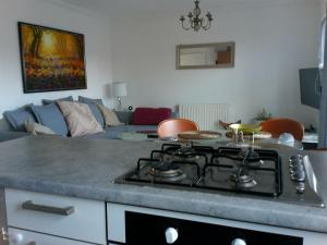 伦敦Two bedroom London Luxury Apartment的客厅设有带炉灶的厨房