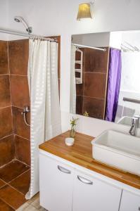 皮里亚波利斯Hostel Mar y Campo的一间带水槽和淋浴的浴室