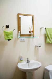 阿拉胡埃拉Guesthouse Casa Lapa2的一间带水槽、镜子和卫生间的浴室
