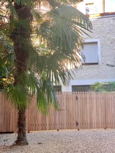 阿让7帕替库勒公寓的木栅栏前的棕榈树