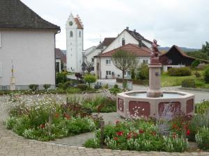 Herdwangen-SchönachFerienwohnung MOEWE的一座花园,在镇中心设有喷泉
